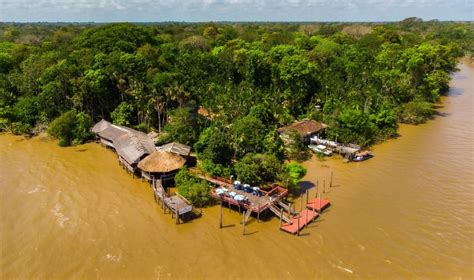 O Que Fazer Na Ilha Do Combu E Como Chegar Turismo De Natureza