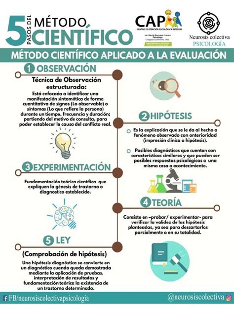 Infografía 5 Pasos Del Método Científico