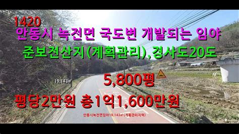 번호 1420 안동시 녹전면 국도변 개발되는 임야 급매물 Youtube