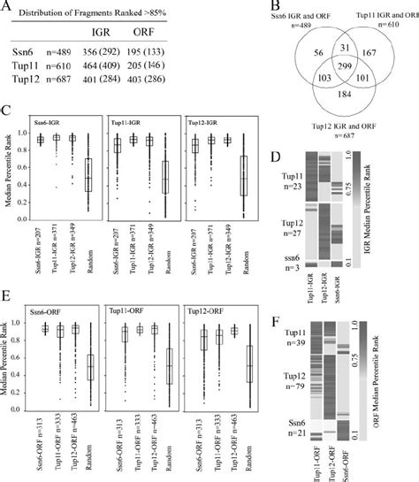 Ssn Tup And Tup Colocalize Within Intergenic Regions And Open