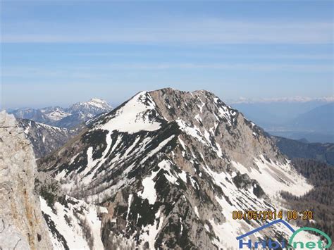 Zelenjak Palec Slika 199871