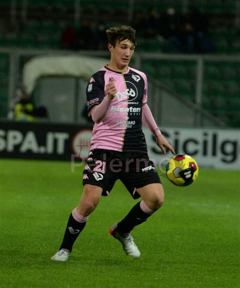 Calciomercato Palermo Damiani Verso La Cessione Le Ultime