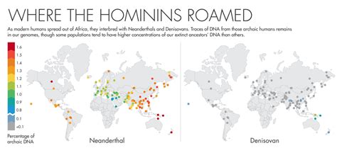 Neanderthal Dna Map