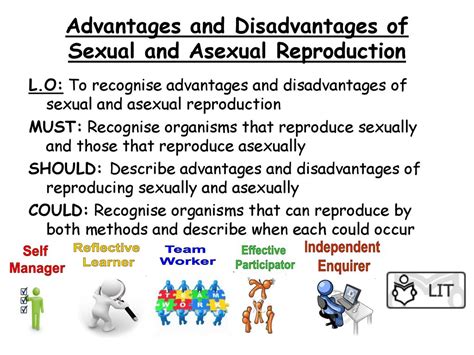 Advantages And Disadvantages Of Sexual And Asexual Reproduction Ppt