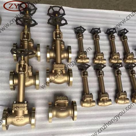 Forged Steel A Strainer Ball Check Globe Gate Valve China Forged