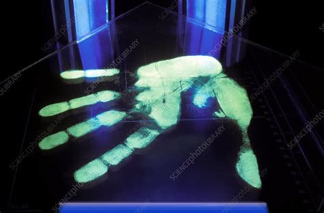 Ultraviolet Light Detection Of Handprint Stock Image C001 4616