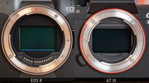 Canon EOS R vs Sony A7 III - The complete comparison - Page 4 of 4 ...