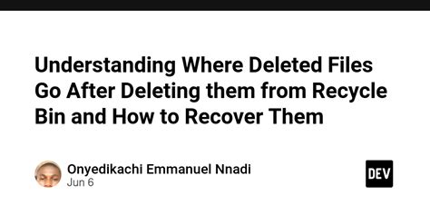 Understanding Where Deleted Files Go After Deleting Them From Recycle Bin And How To Recover