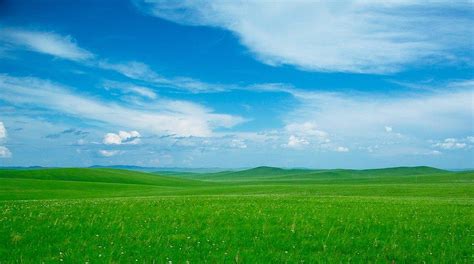 Mongolian-Manchurian grassland | Places around the world, Fly geyser ...