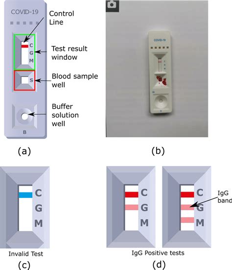 Key Visual Features Of The Fortress Sars Cov 2 Lateral Flow Immunoassay