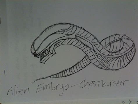 Chestburster By Zygarde123 On Deviantart