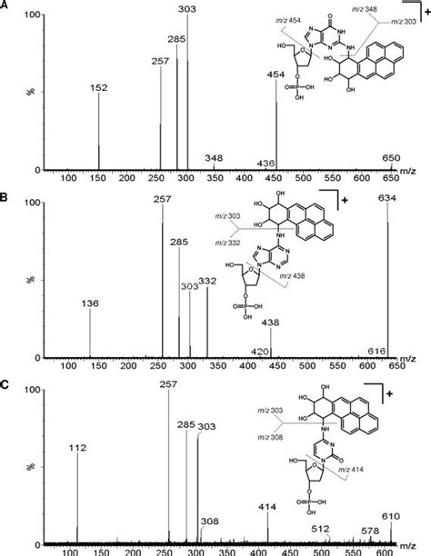 Typical Positive Esi Lc Ms Ms Cid Product Ion Spectra For The Base