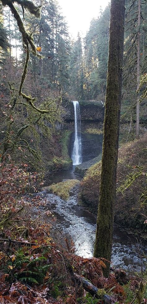 Silver Falls State Park Silverton 2019 All You Need To Know Before