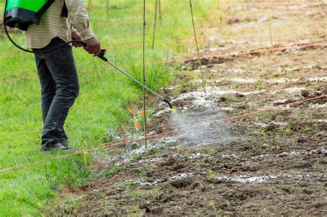 Cómo Usar Correctamente Los Insecticidas Para La Agricultura