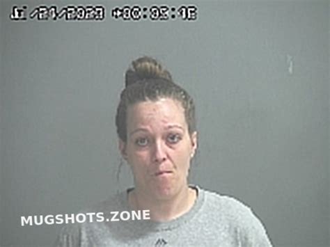 Pressnell Amy Sue Sandusky County Mugshots Zone