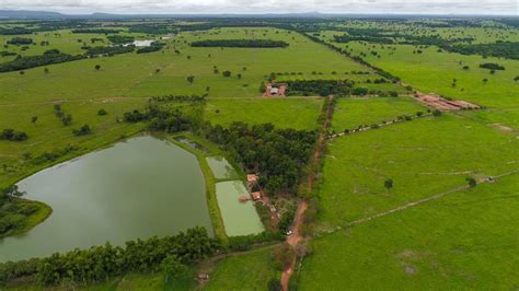 Fazendas A Venda Goias - Fazenda em Goiás - Zebu Fazendas – Corretor Imóveis Rurais no Triângulo ...