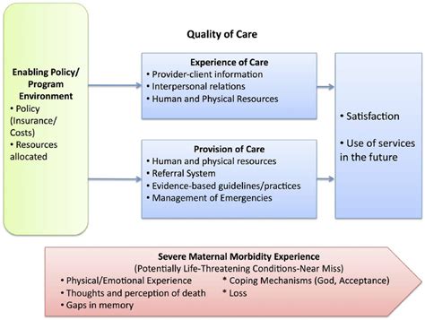 Quality Of Care Framework For Severe Maternal Morbidity 1314