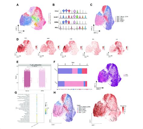 Characterization Of Cd8 T Cell Subpopulations In Ards Patients