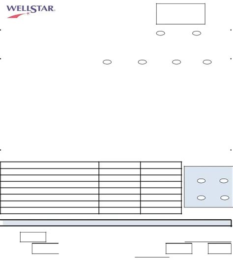 Wellstar Financial Assistance Application Pdf Form Formspal