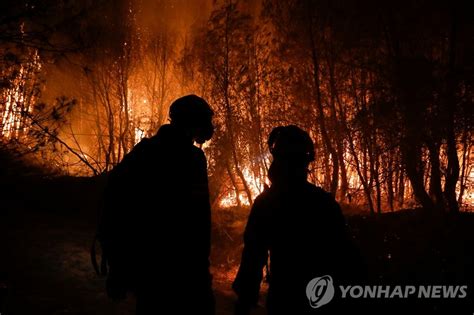 남유럽 전역에 산불터키서 8명 사망·이재민 수천명 발생 연합뉴스