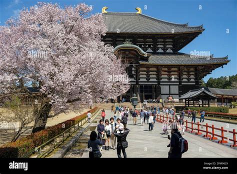 Nara Japón 22 de marzo de 2023 El Templo Todaiji es un templo