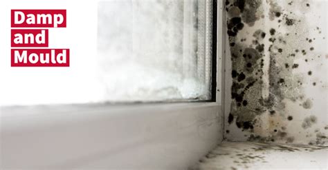 How To Help Keep Your Home Free From Condensation Damp And Mould