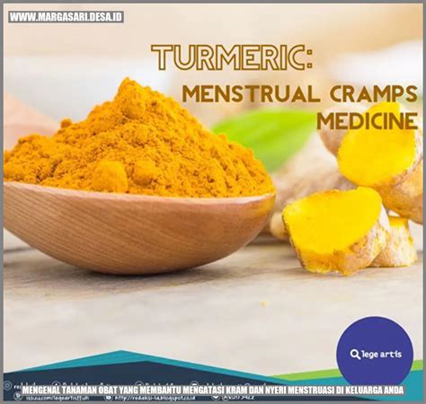 Mengenal Tanaman Obat Yang Membantu Mengatasi Kram Dan Nyeri Menstruasi