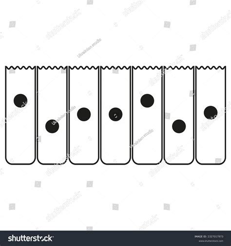 A Obstrução Dos Bronquíolos Impede Que O Oxigênio Atinja