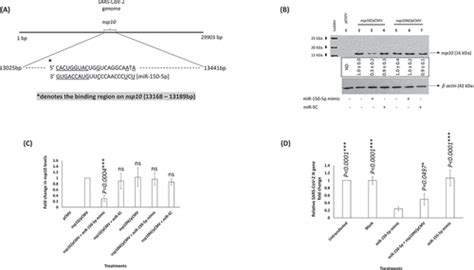 Full Article Cellular Mir P May Have A Crucial Role To Play In