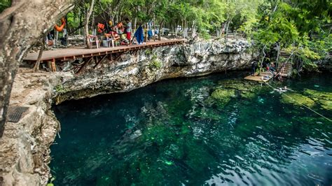 Yucatán Peninsula Snorkel Tour Two Cenotes Book Online Padi Adventures