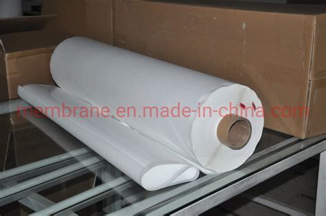 Regenerated Cellulose Membrane Sheet Mwco10000 Dalton Membrane