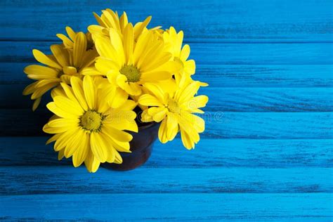 Bouquet of yellow daisies stock image. Image of copy - 103819183