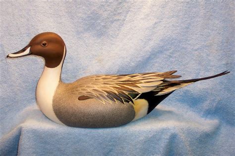 Eddie Wozny: Shorebirds and Waterfowl Carvings - Waterfowl