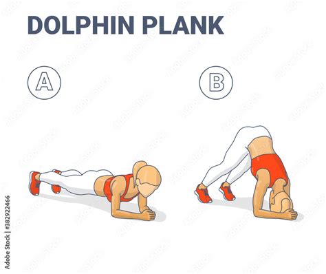 Dolphin Plank