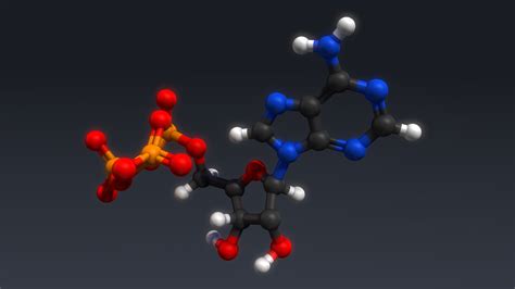 D Atp Structure Model