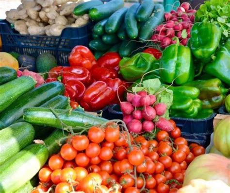 Food Gardening Green Adelaide