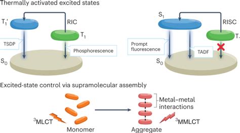 Using Synthesis To Steer Excited States And Their Properties And