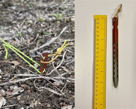 Which Tent Stake Is Best For Your Thru Hike Ag