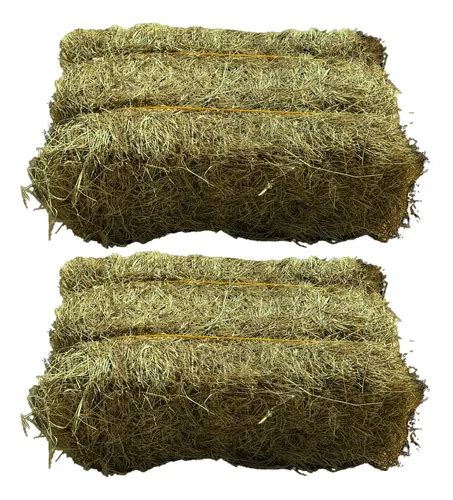 Feno Para Cavalo Preço - Fardo Feno Cavalo Capim Tifton Coast Cross 20kg | MercadoLivre