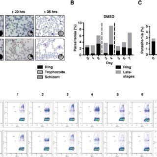 Fig S Identifying Optimal Rapamycin Concentration For Efficient