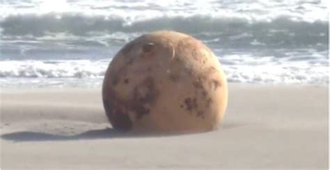 Una Esfera Aparece En Una Playa De Jap N La Mentira Esta Ahi Fuera