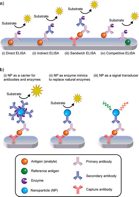 Direct Elisa