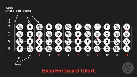 Blog: Bass Guitar Fretboard Charts: Understanding Your Bass at a Glance ...