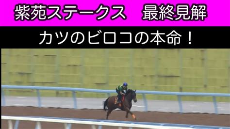 【2023紫苑ステークス】最終予想 秋華賞出走をかけた戦いにメイチのし仕上げは。 競馬動画まとめ