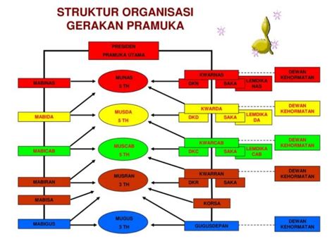 7 Struktur Organisasi Pramuka Penegak Penggalang Sdsmpsmk Ames