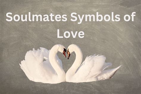 Soulmate Symbols Of Love: Signs You Need To Know - SymbolScholar