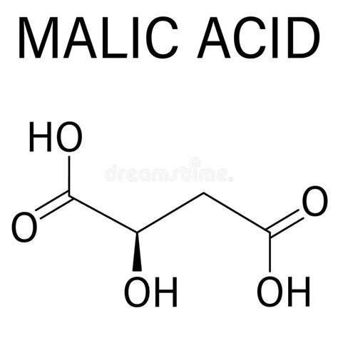 Malic Acid Fruit Acid Molecule Skeletal Formula Stock Vector