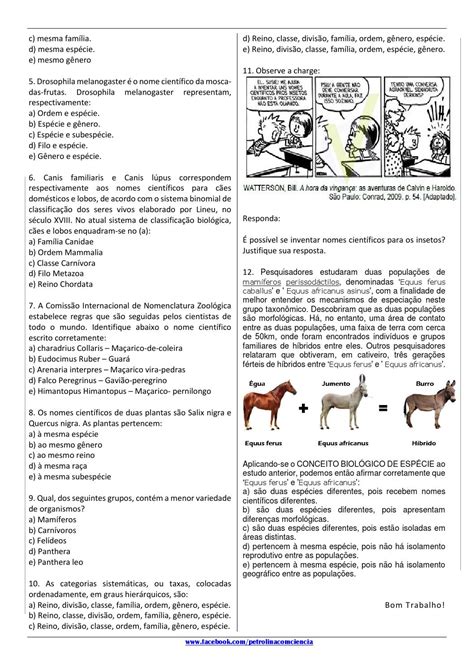 Atividades Sobre Adaptação Dos Seres Vivos 7o Ano Gabarito