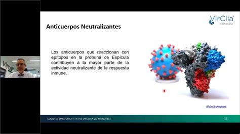 Anticuerpos Neutralizantes Contra SARS CoV 2 YouTube