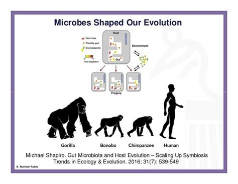 Human Microbiome An Evolving Clinical Frontier